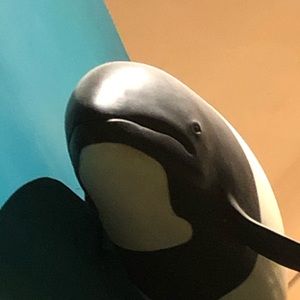 Meet your Posher, Andrea